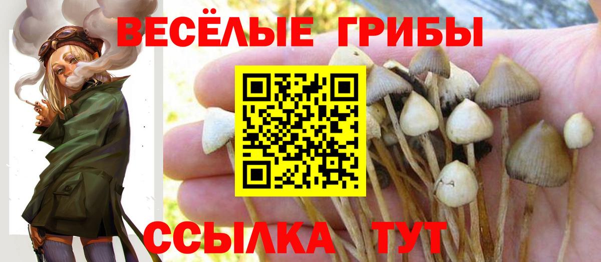 Псилоцибиновые грибы Magic Shrooms  Псилоцибиновые грибы прущие грибы  Вход с VPN  Артём 